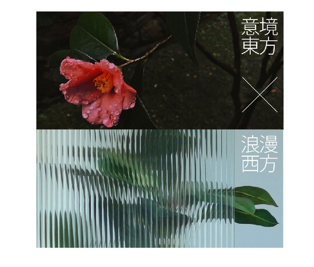 山茶花開時 | 2022 奎恩摄影 意境东方早春新品