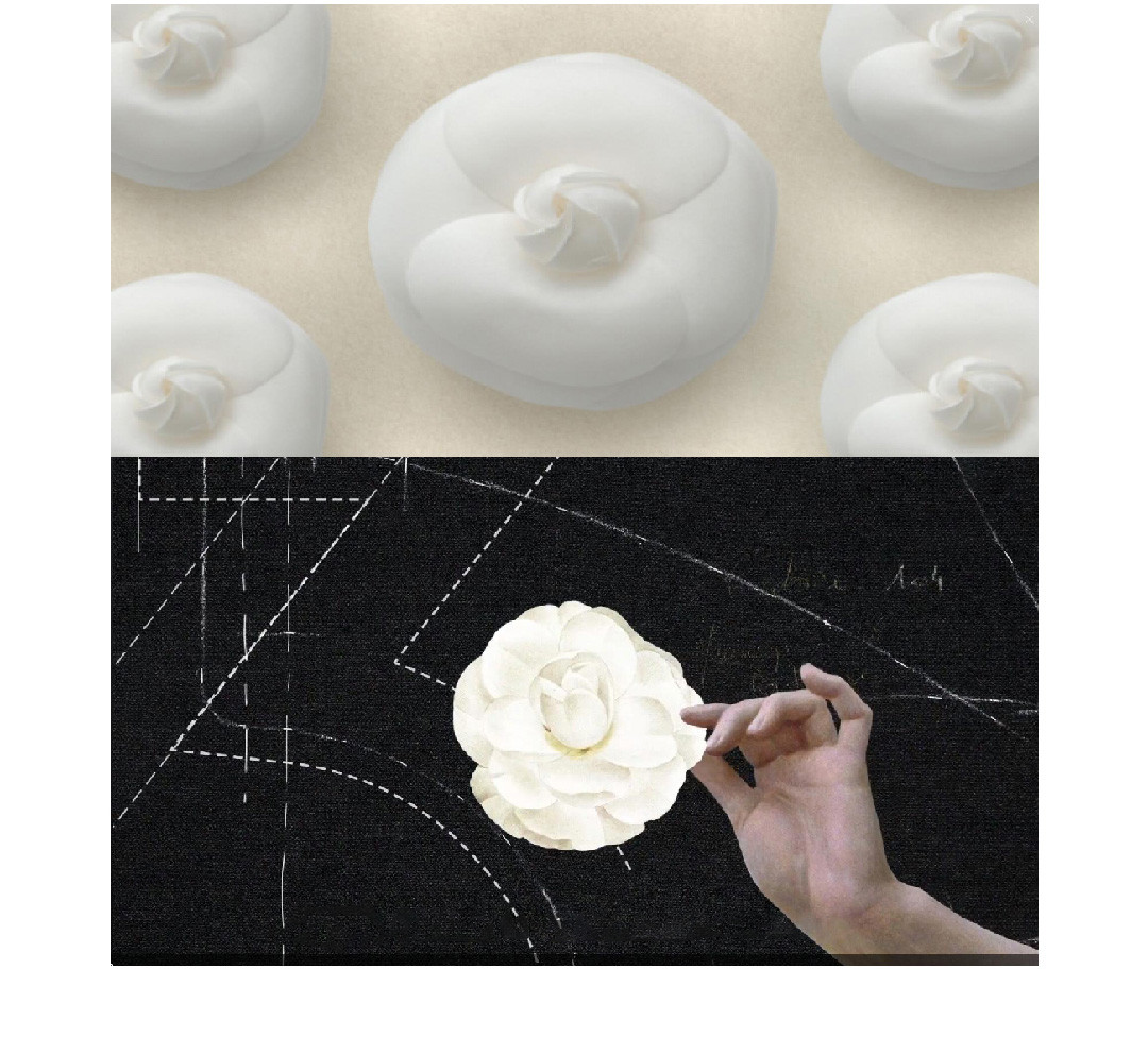 山茶花開時 | 2022 奎恩摄影 意境东方早春新品