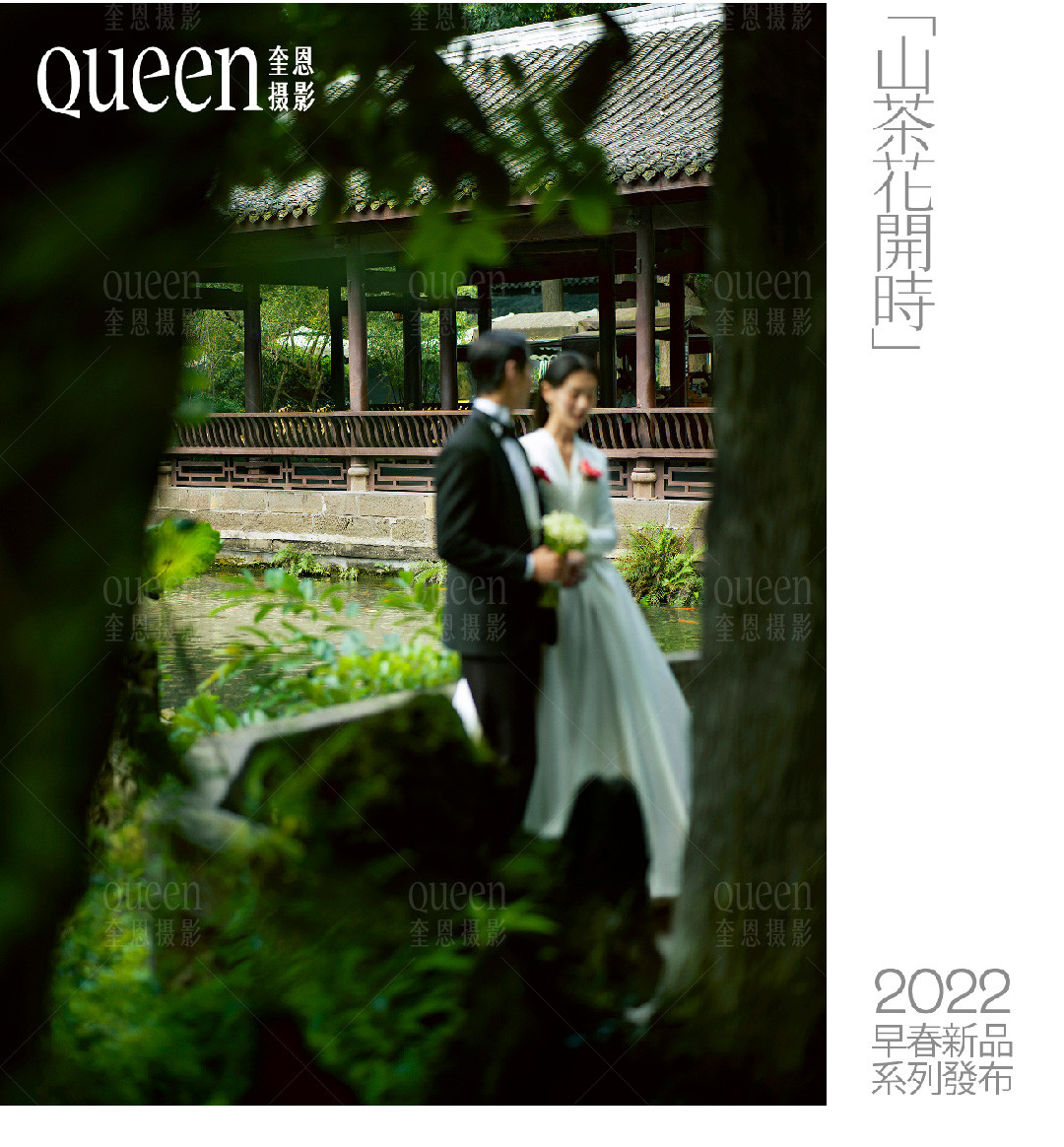 山茶花開時 | 2022 奎恩摄影 意境东方早春新品