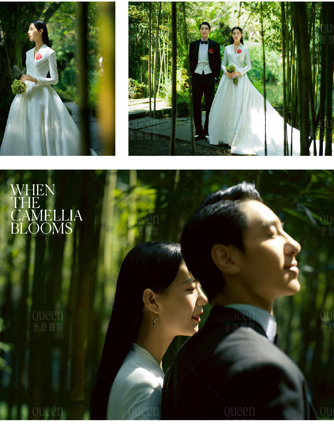 山茶花開時 | 2022 奎恩摄影 意境东方早春新品