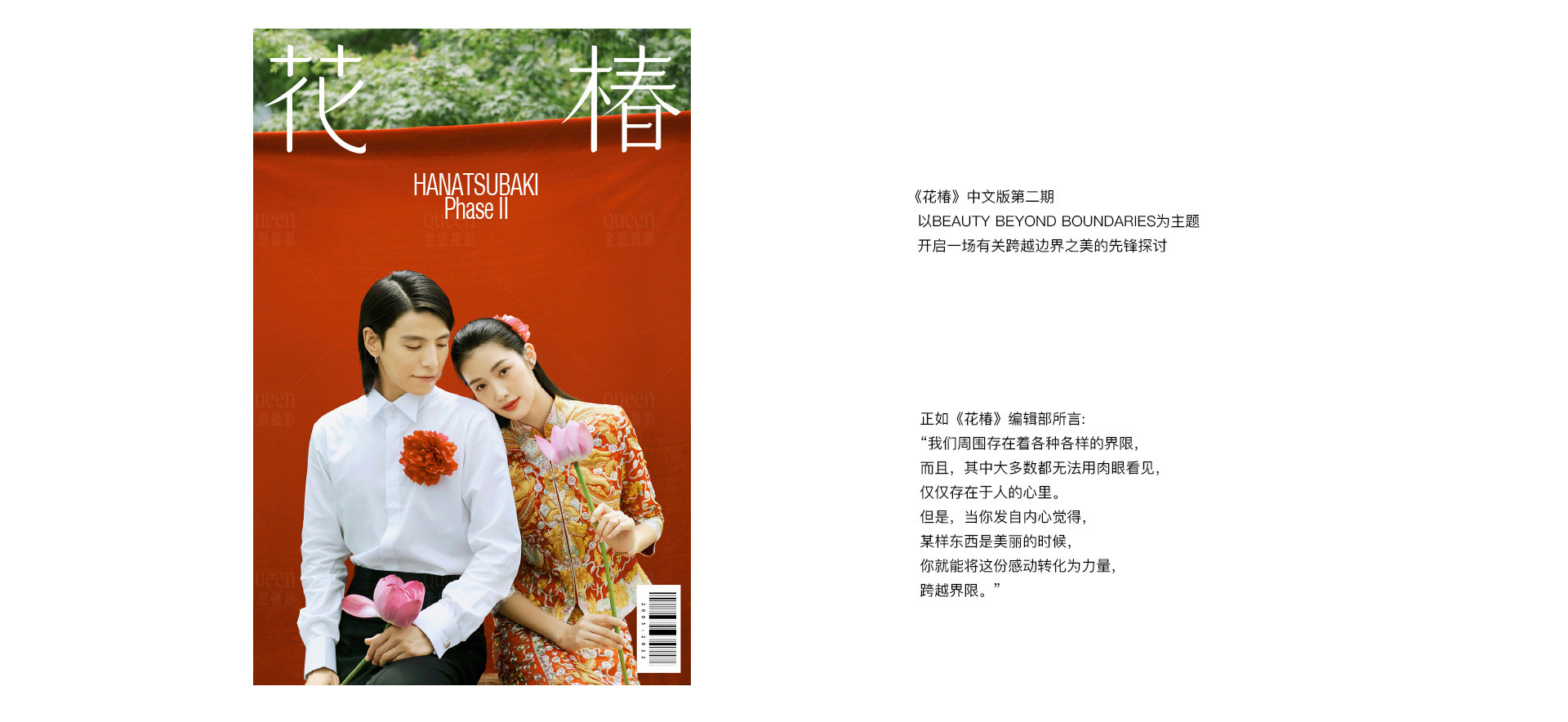 奎恩X《花椿》| 2022 奎恩摄影   意境东方  春节限定