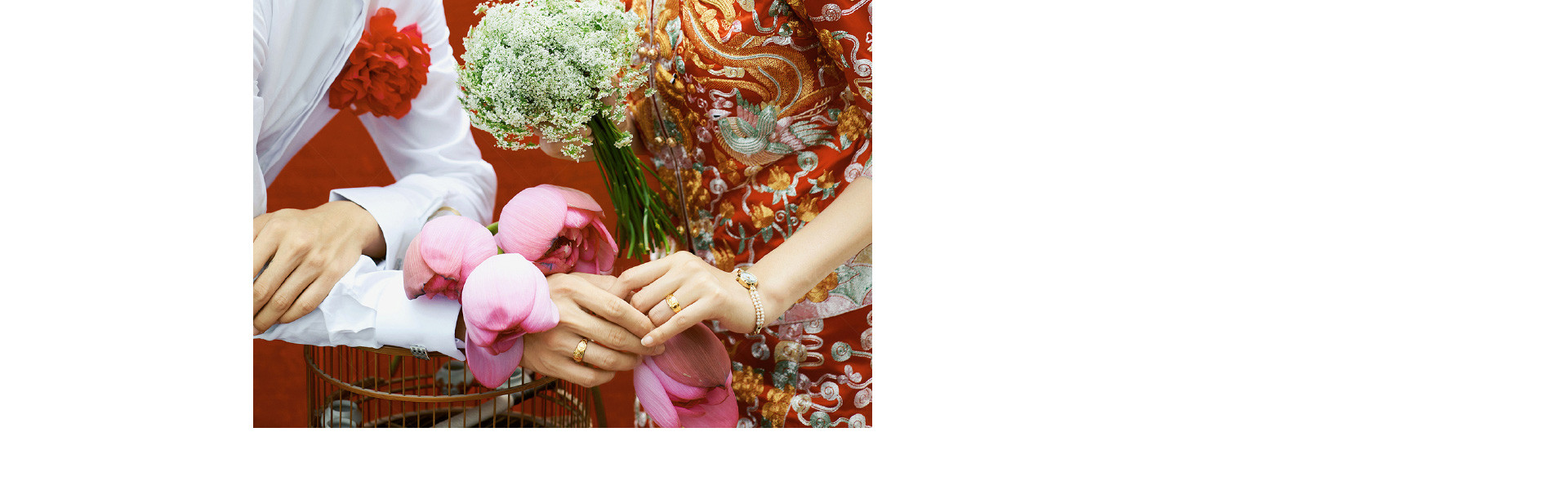 奎恩X《花椿》| 2022 奎恩摄影   意境东方  春节限定