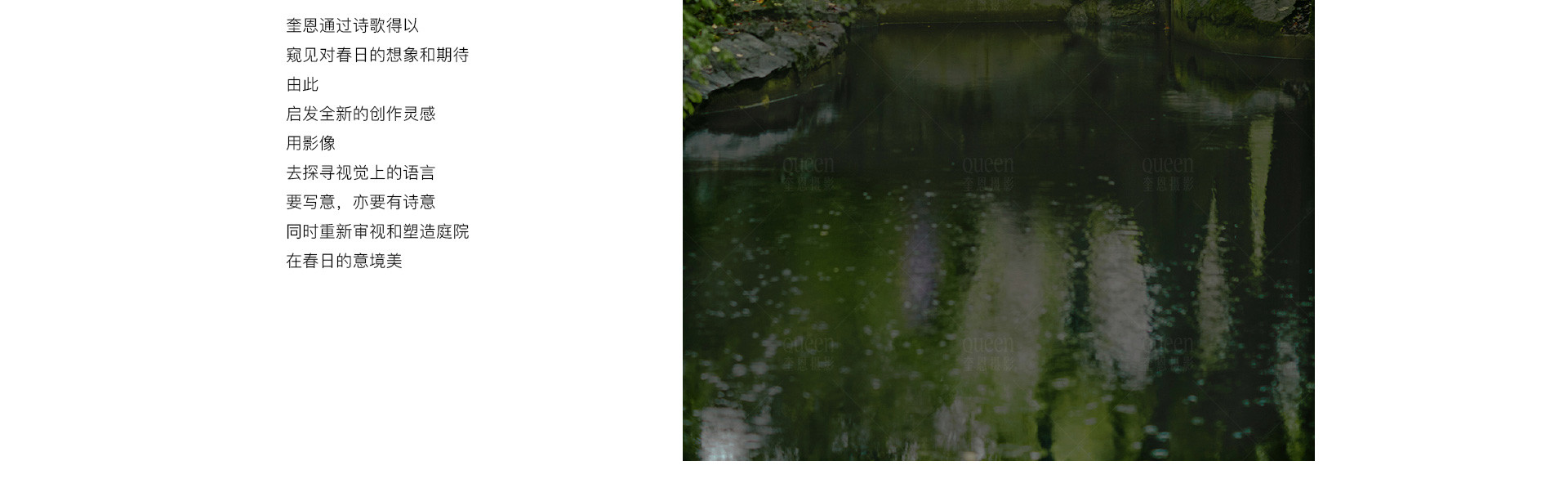 预售春天 |  2022  奎恩摄影  意境东方  早春新品