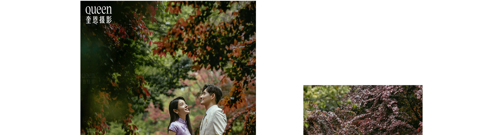 预售春天 |  2022  奎恩摄影  意境东方  早春新品