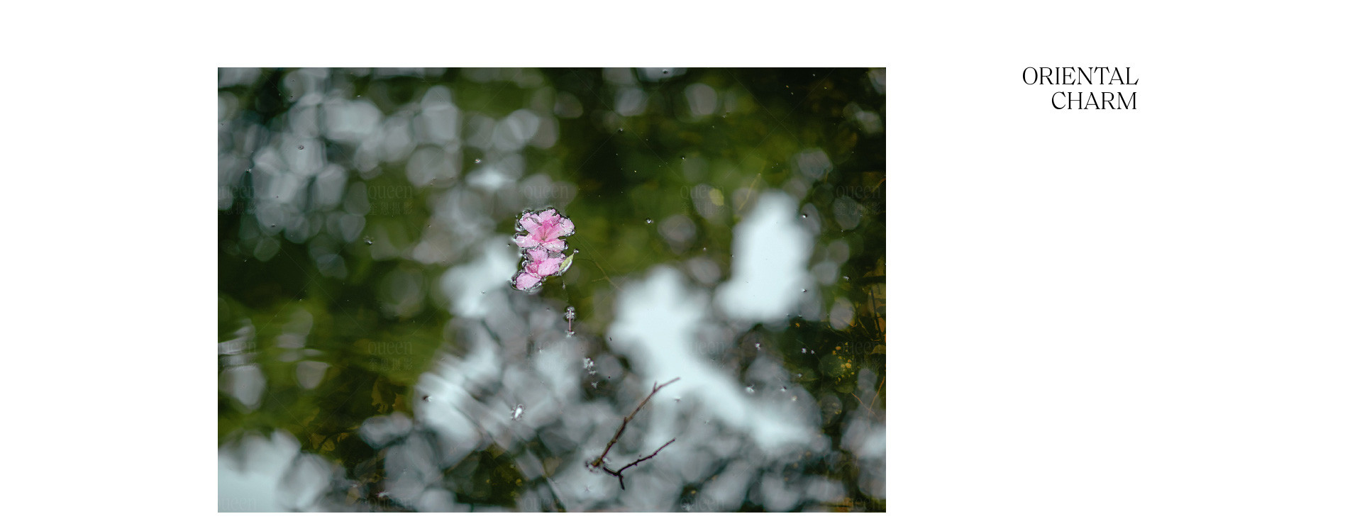 预售春天 |  2022  奎恩摄影  意境东方  早春新品