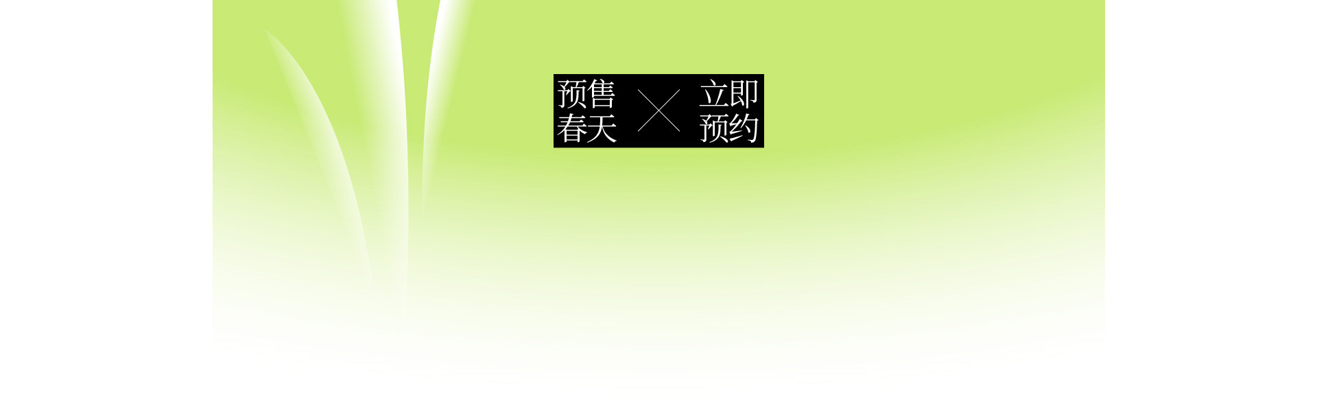 预售春天 |  2022  奎恩摄影  意境东方  早春新品