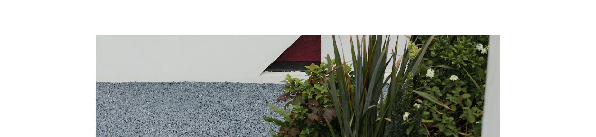 复古朋克 X ROCK新娘 |  2022  奎恩摄影 情人节浪漫企划