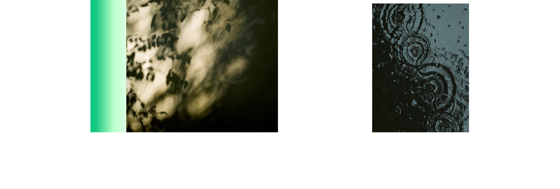 在東方庭院，办了一场展 |  2022  奎恩摄影  意境東方 園林系列合辑