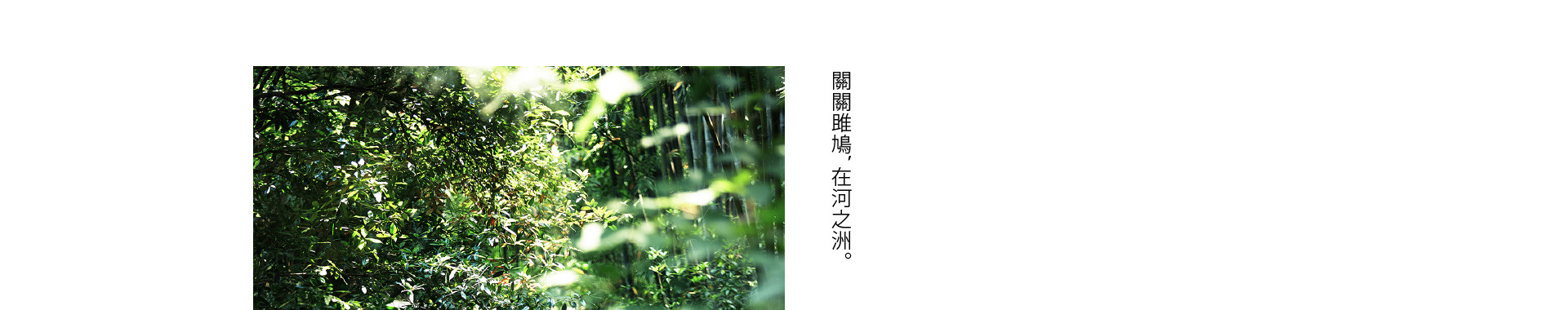 在東方庭院，办了一场展 |  2022  奎恩摄影  意境東方 園林系列合辑