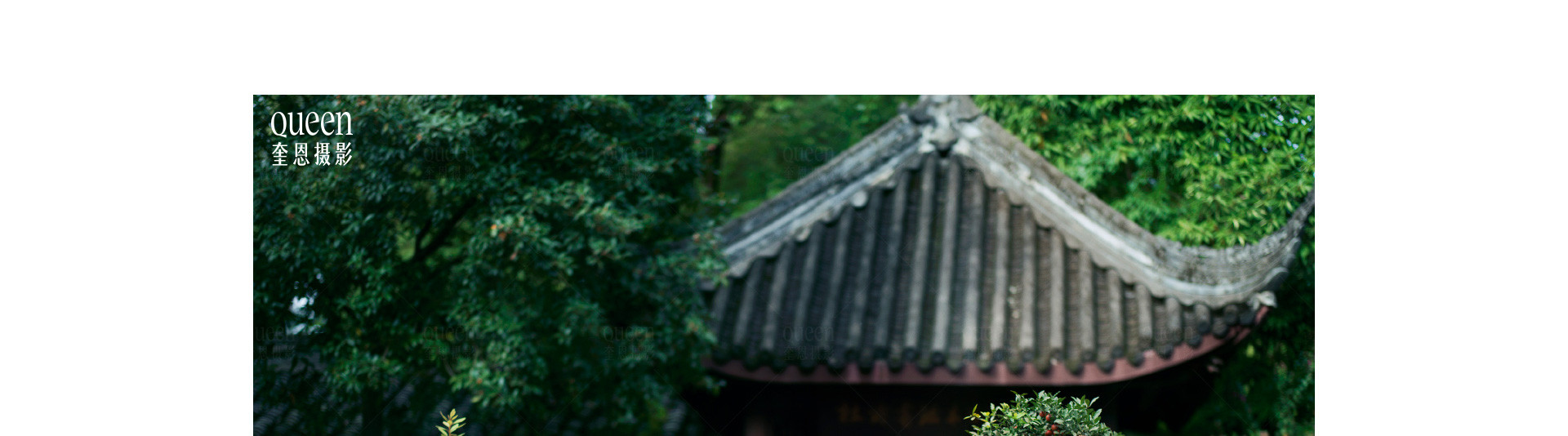 在東方庭院，办了一场展 |  2022  奎恩摄影  意境東方 園林系列合辑