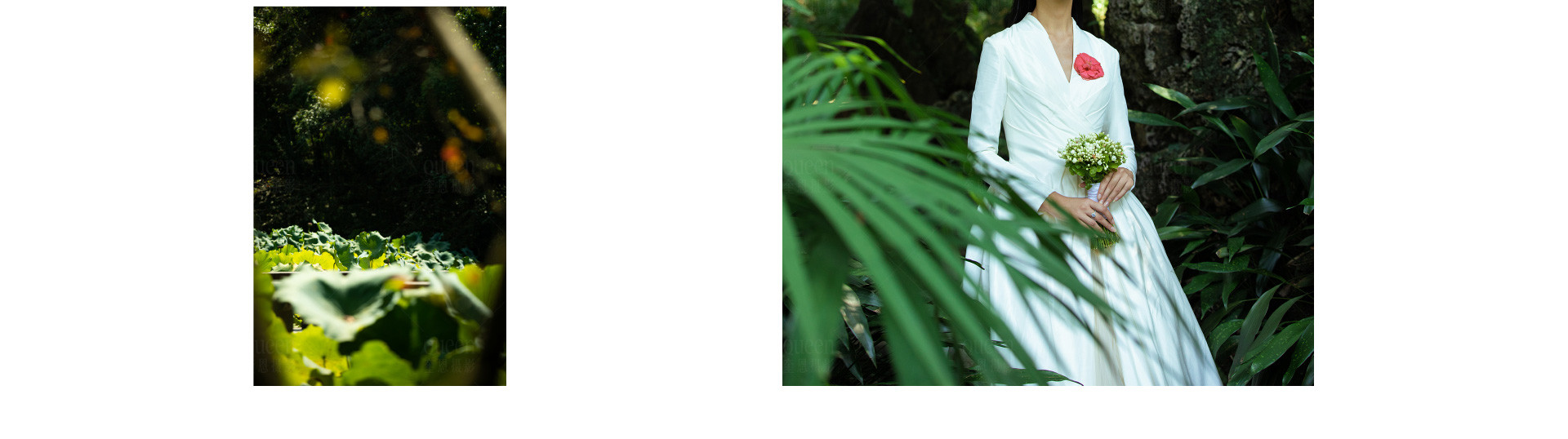 原创不止 |  2022 奎恩摄影  消费者权益日  特别企划