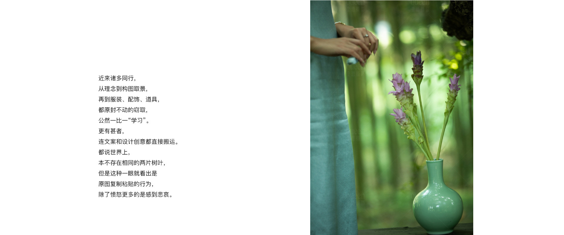 原创不止 |  2022 奎恩摄影  消费者权益日  特别企划