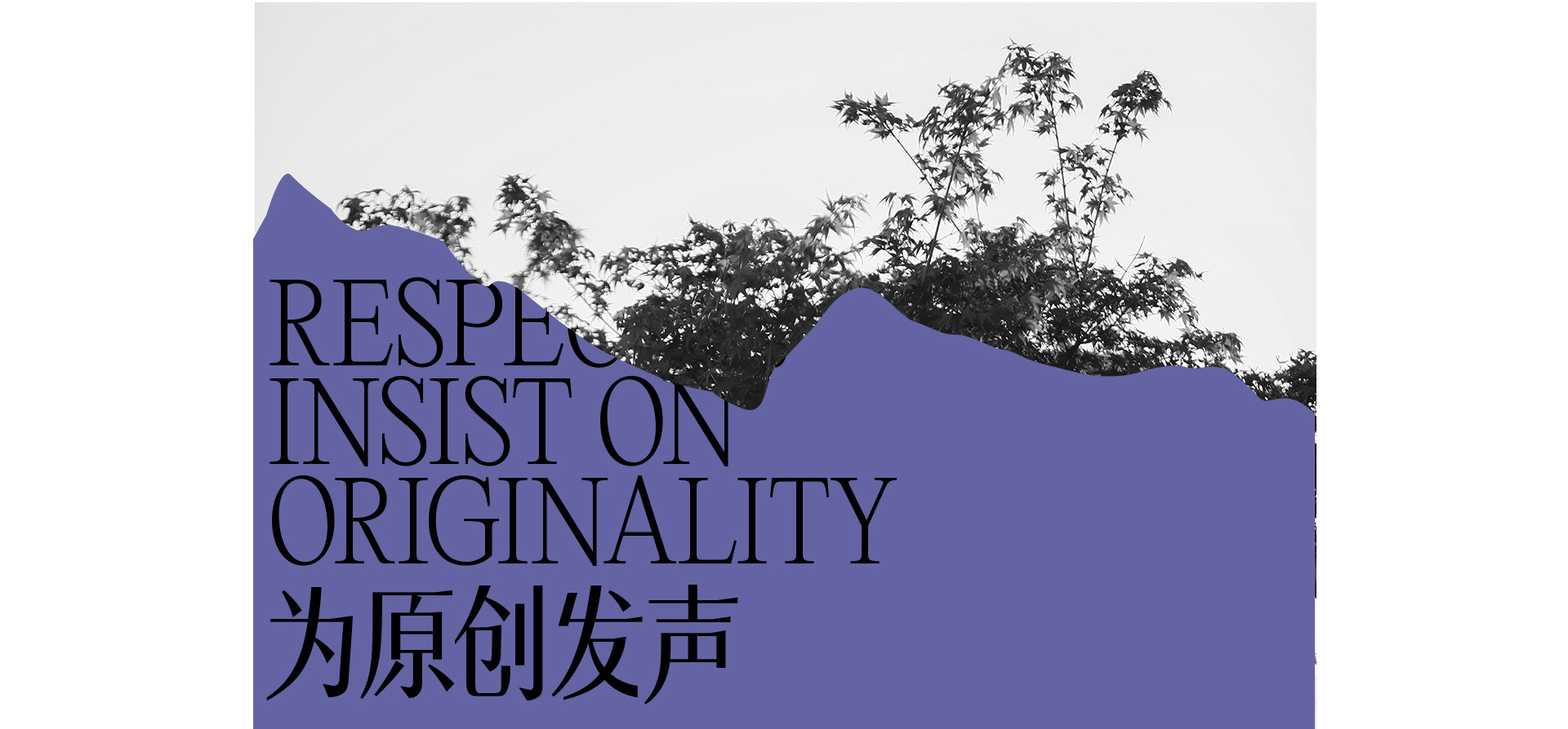 原创不止 |  2022 奎恩摄影  消费者权益日  特别企划