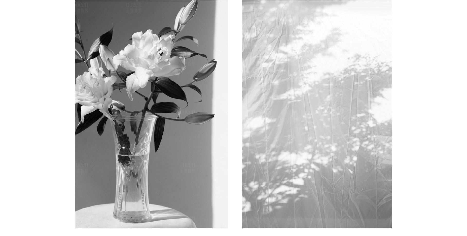 原创不止 |  2022 奎恩摄影  消费者权益日  特别企划