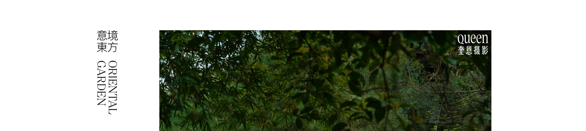 荼蘼花事了 | 2022 奎恩摄影 意境东方 新品发布