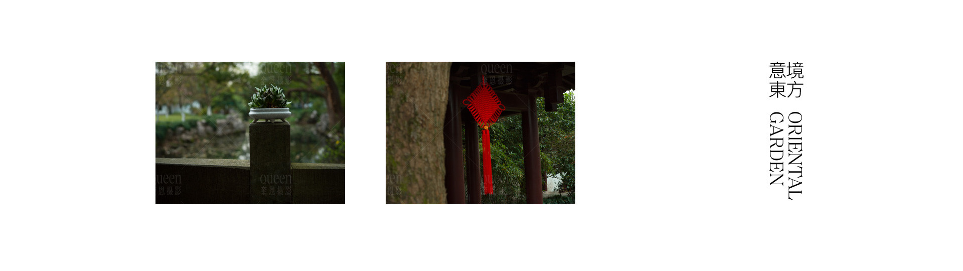 荼蘼花事了 | 2022 奎恩摄影 意境东方 新品发布