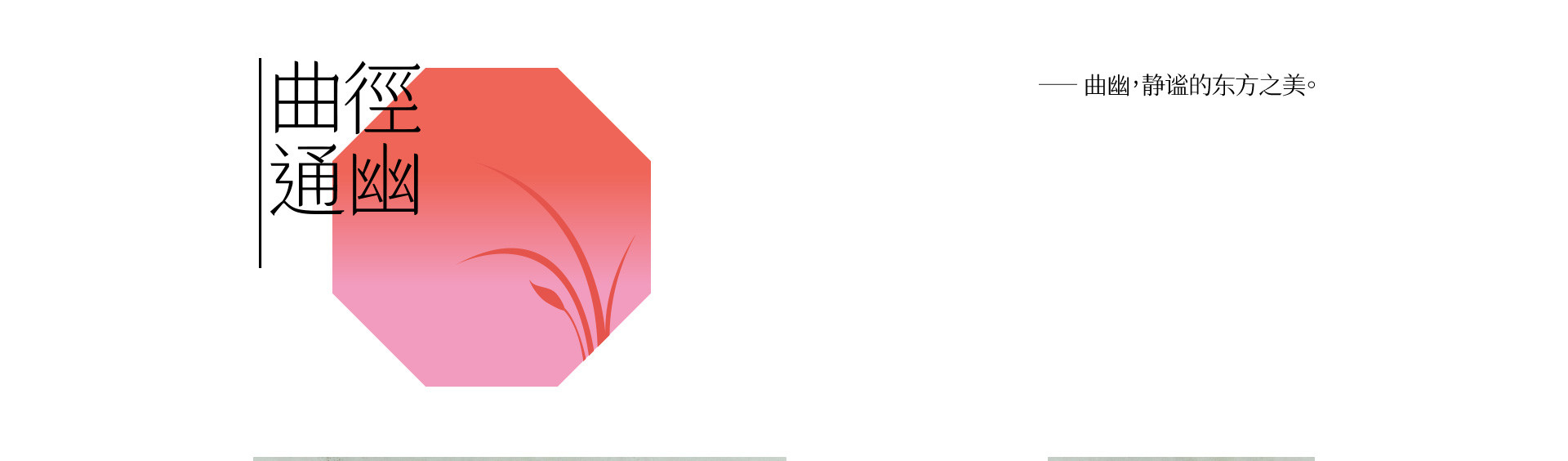 如果詞不達意，把愛藏在花裏 | 2022 奎恩攝影 520浪漫企劃