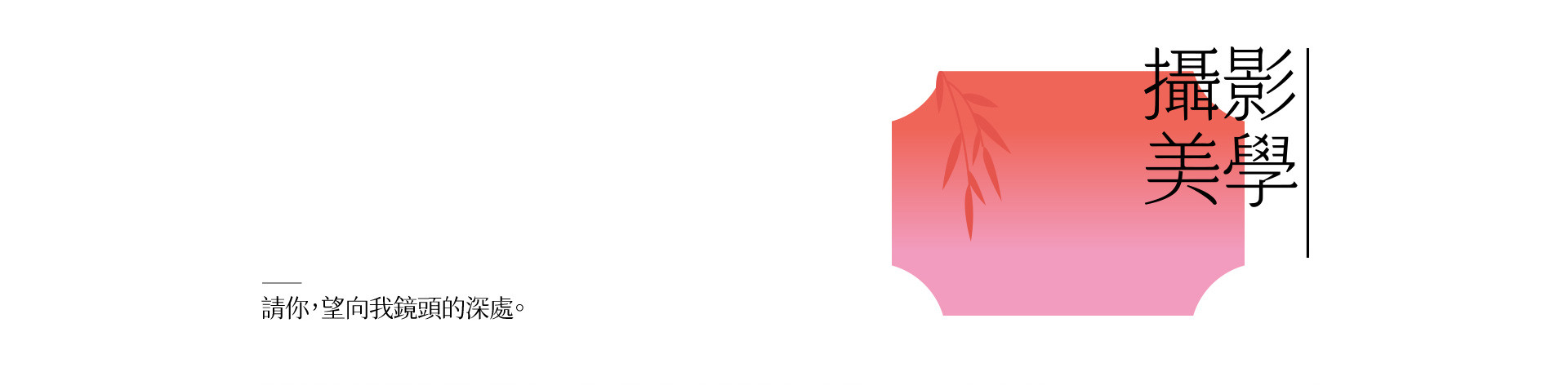 如果詞不達意，把愛藏在花裏 | 2022 奎恩攝影 520浪漫企劃