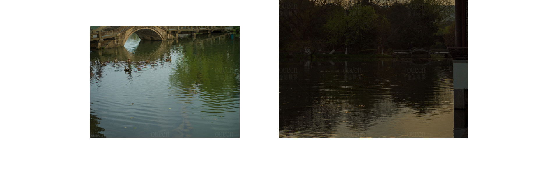 園林美學 | 2022 奎恩摄影 意境东方 新品发布