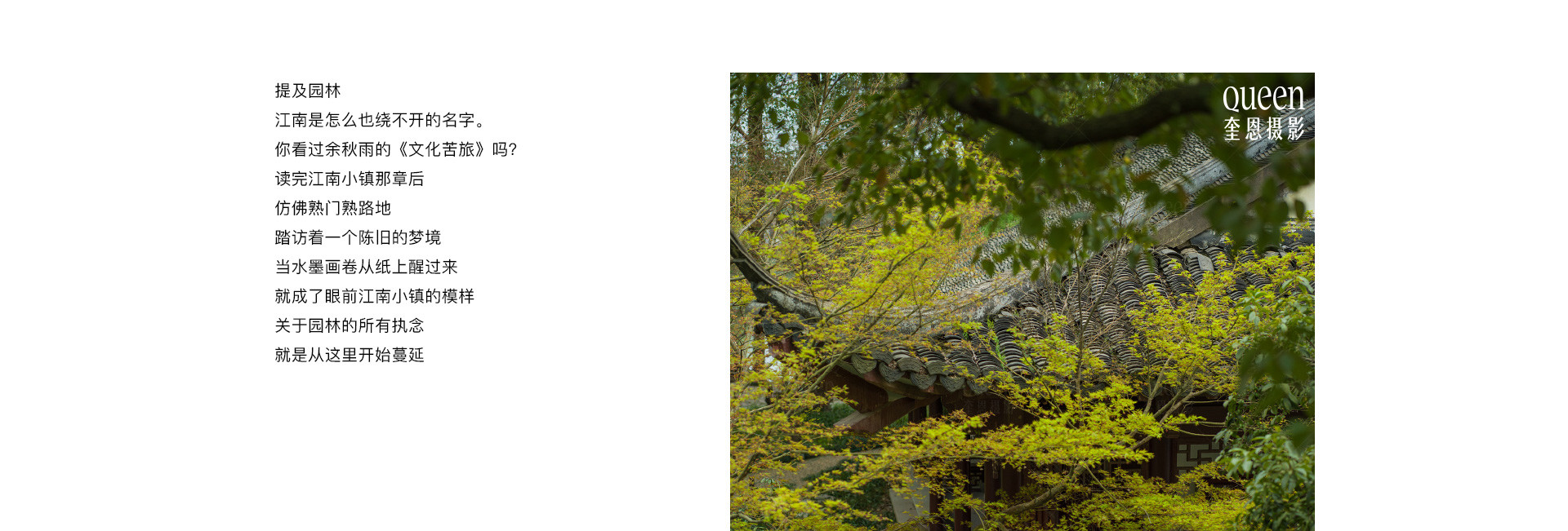 園林美學 | 2022 奎恩摄影 意境东方 新品发布
