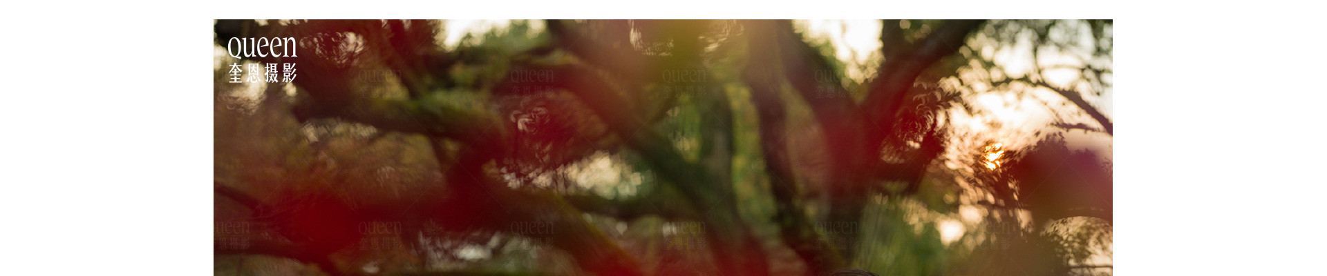園林美學 | 2022 奎恩摄影 意境东方 新品发布