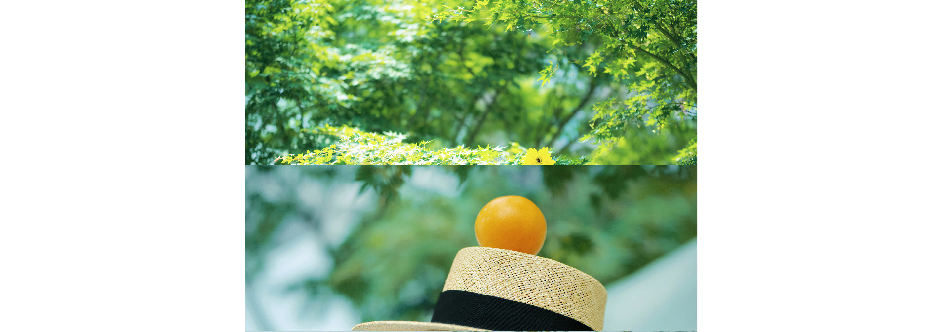 Jane Birkin | 2022 奎恩摄影 浪漫西方 新品发布