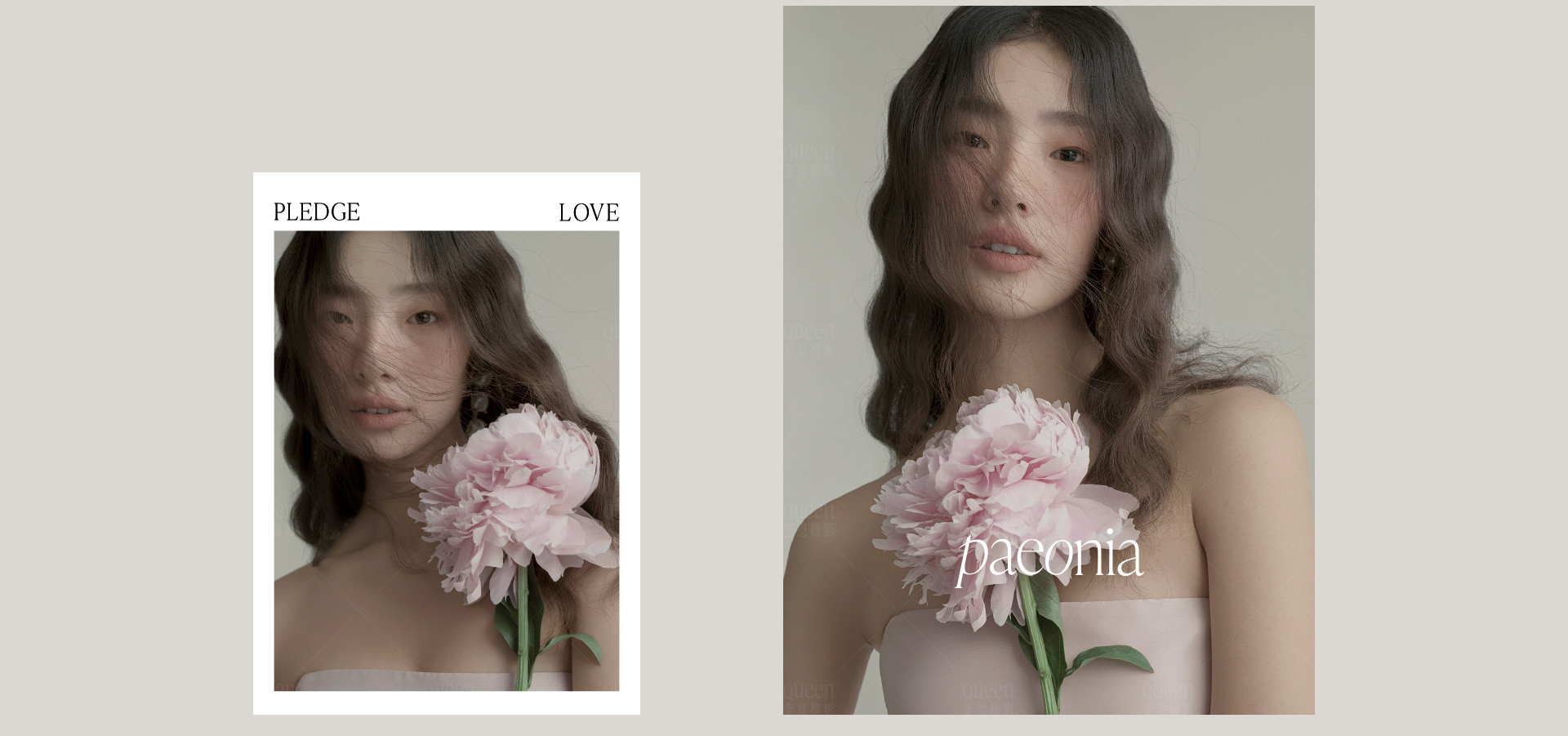 PAEONIA 以芍药之名 | 2022 奎恩摄影 大师肖像 新品发布