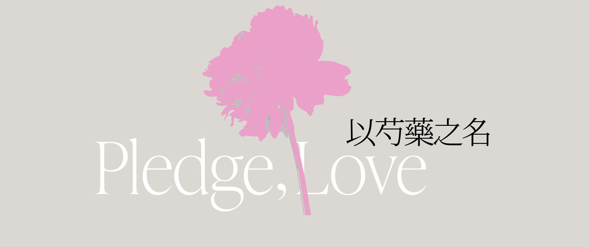 PAEONIA 以芍药之名 | 2022 奎恩摄影 大师肖像 新品发布