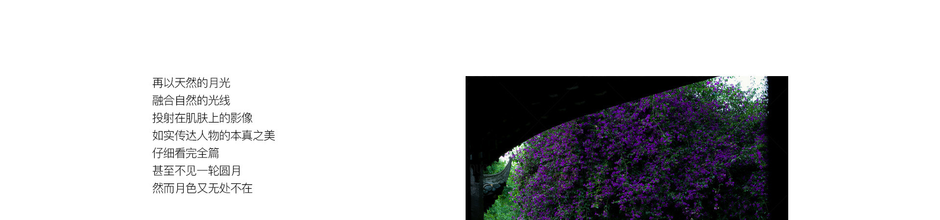 滿月，在東方 | 2022 奎恩攝影 中秋特輯 意境東方