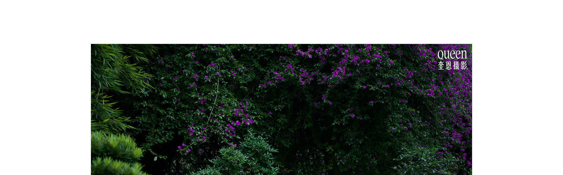 百年好合 | 2022 奎恩摄影 意境东方 国庆特辑 珍藏系列