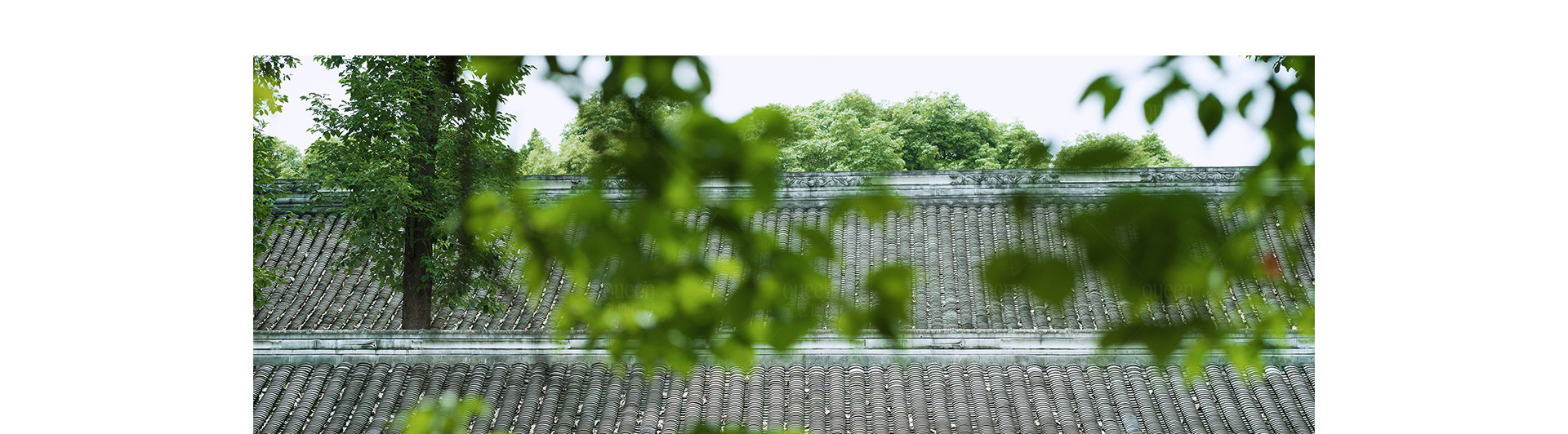 遊園·秋 | 2022 奎恩摄影 意境東方系列 園林合集