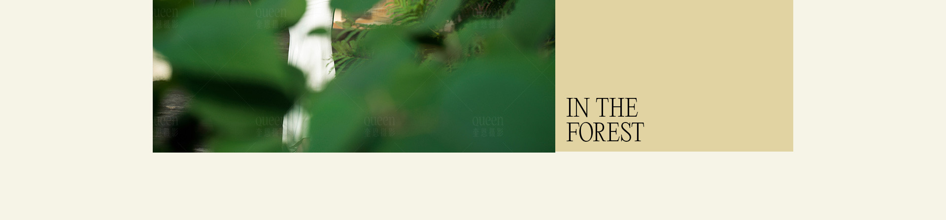 潜入摩洛哥北部秘境花园 | 2022 奎恩摄影 浪漫西方 新品发布