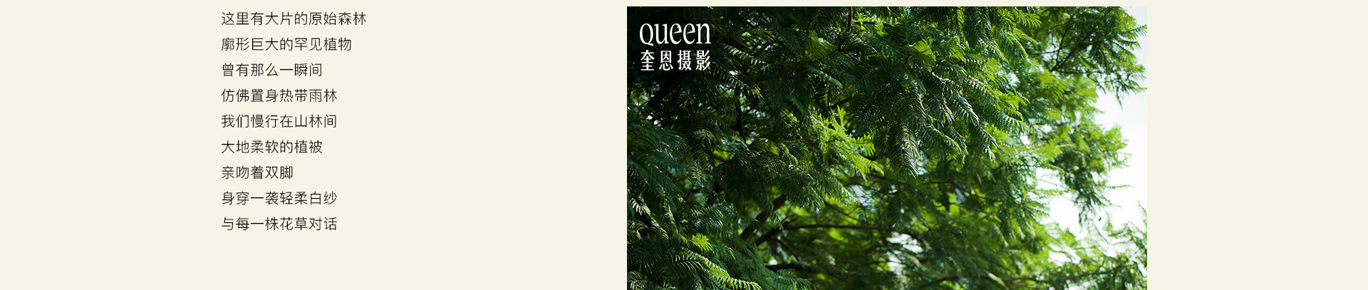 潜入摩洛哥北部秘境花园 | 2022 奎恩摄影 浪漫西方 新品发布