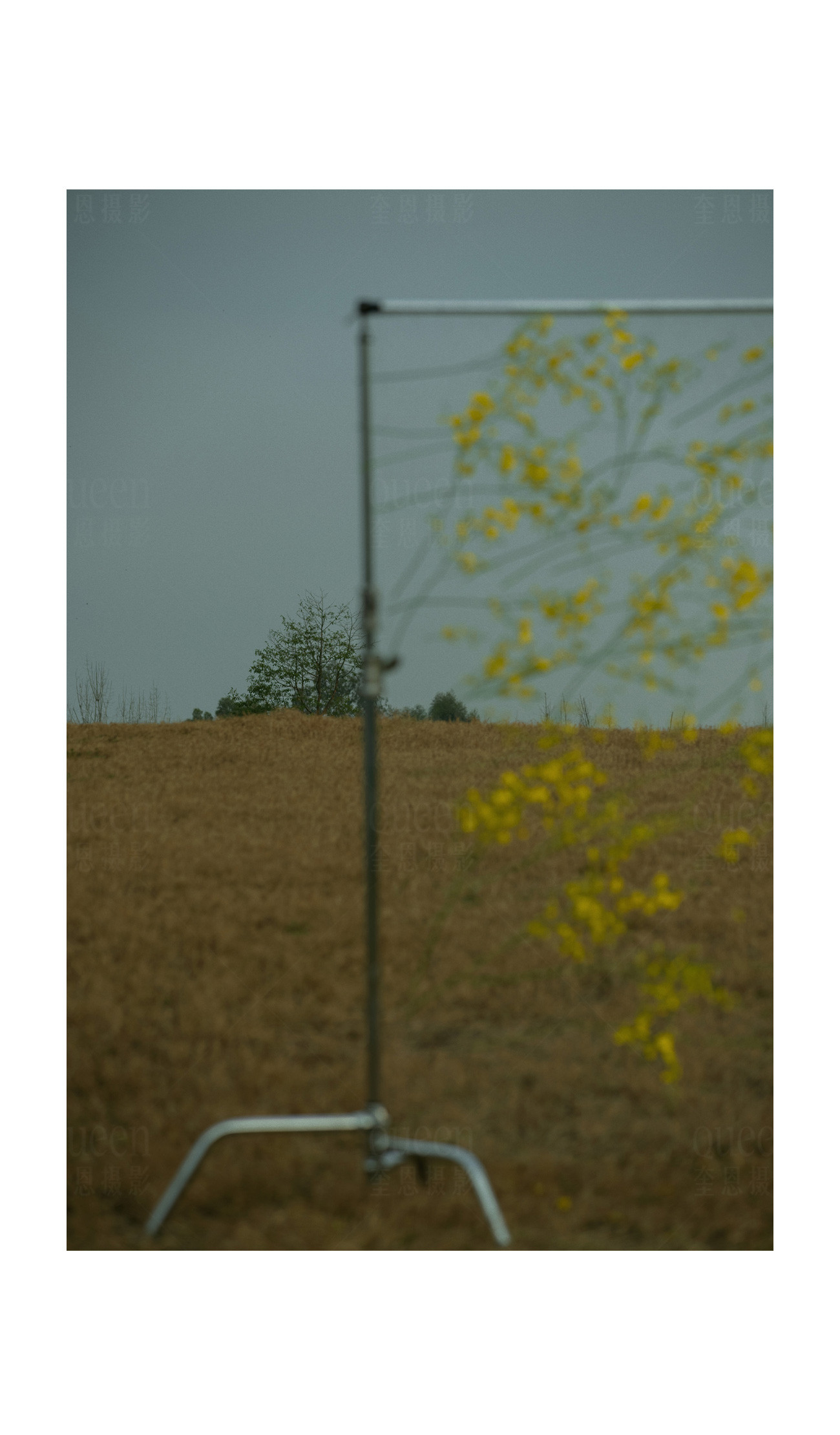 春天的影像诗Ⅰ