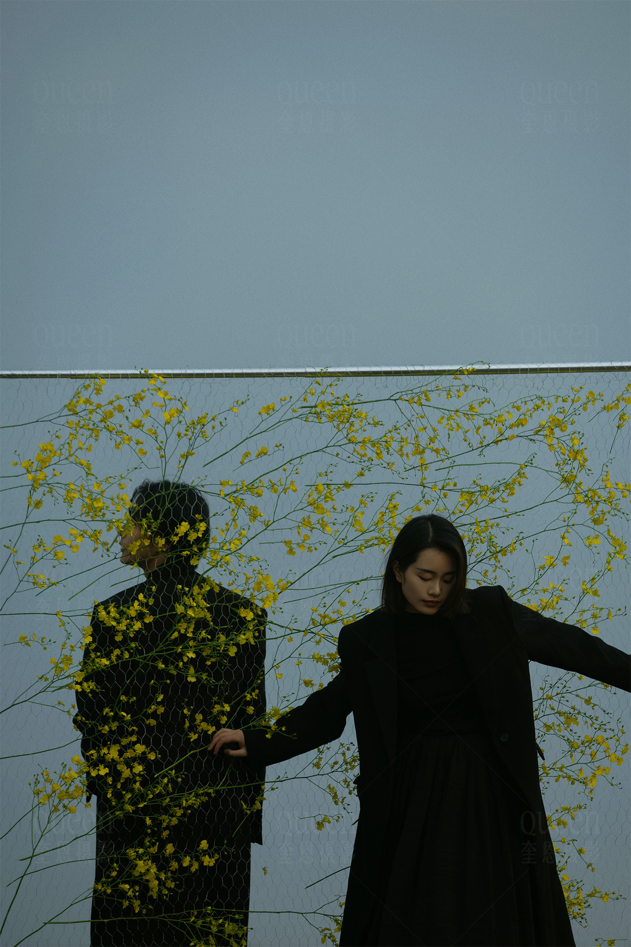 春天的影像诗Ⅰ