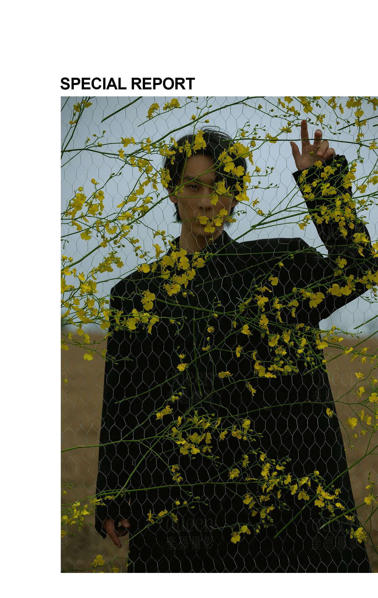 春天的影像诗Ⅰ