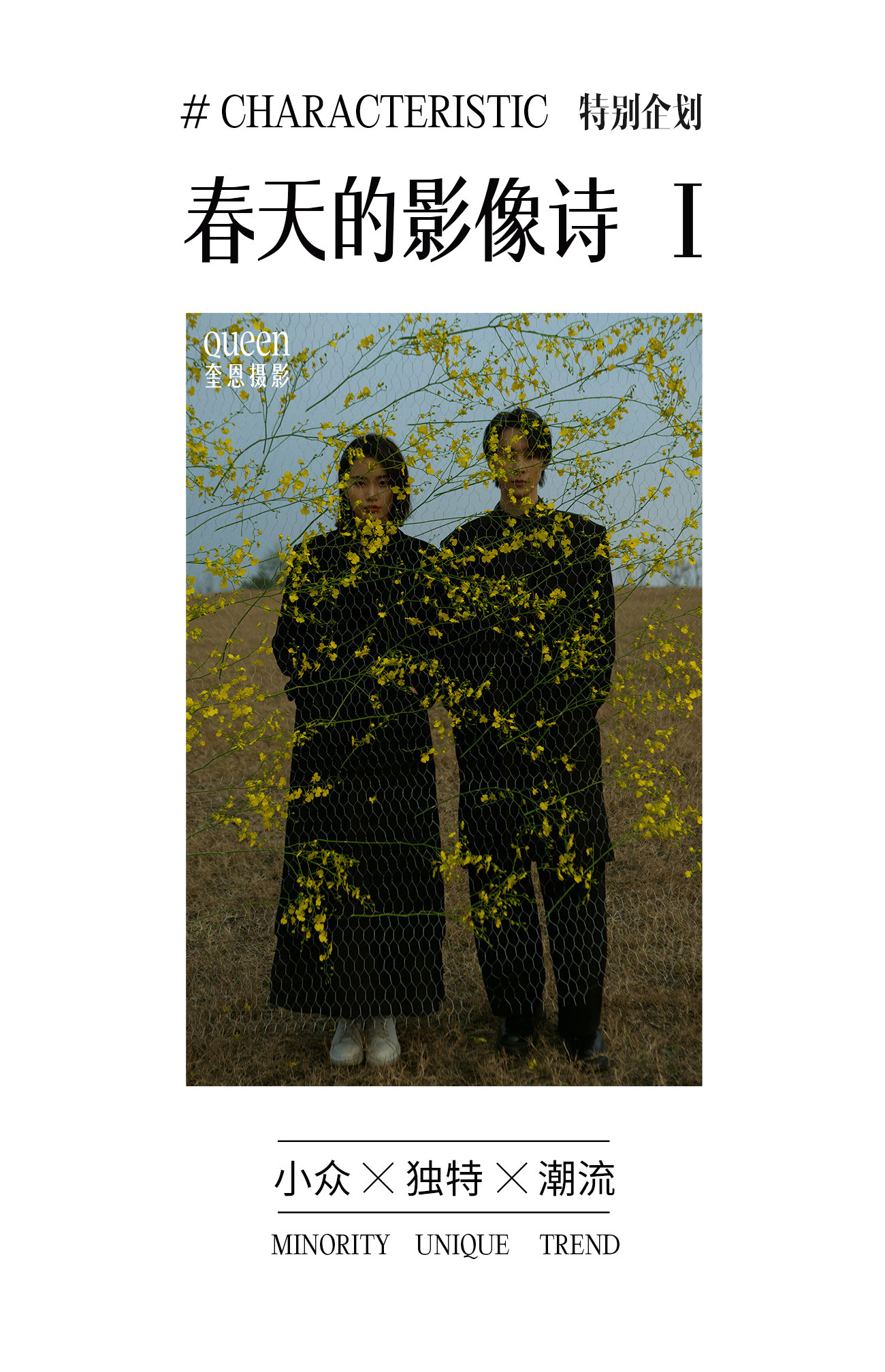 春天的影像诗Ⅰ