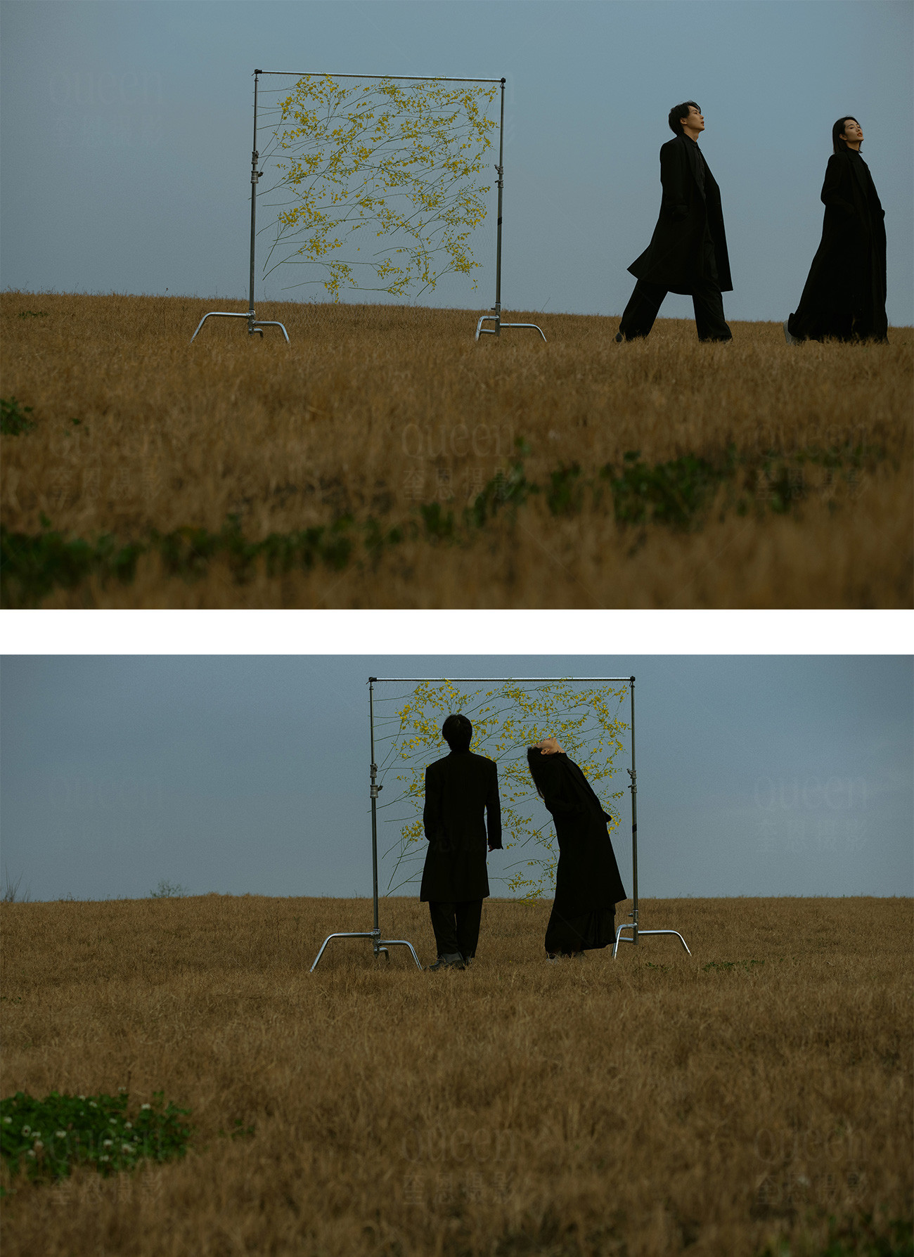 春天的影像诗Ⅰ