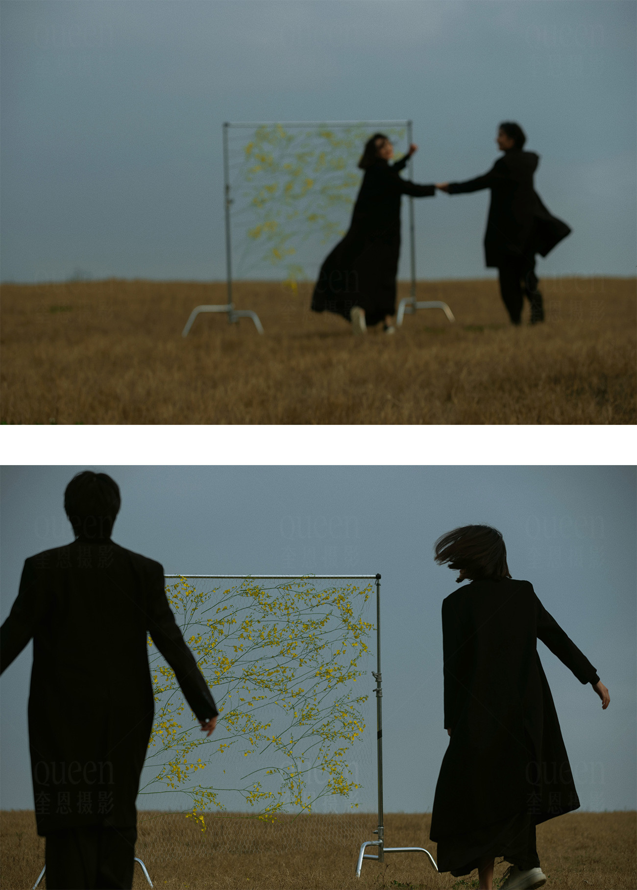 春天的影像诗Ⅰ