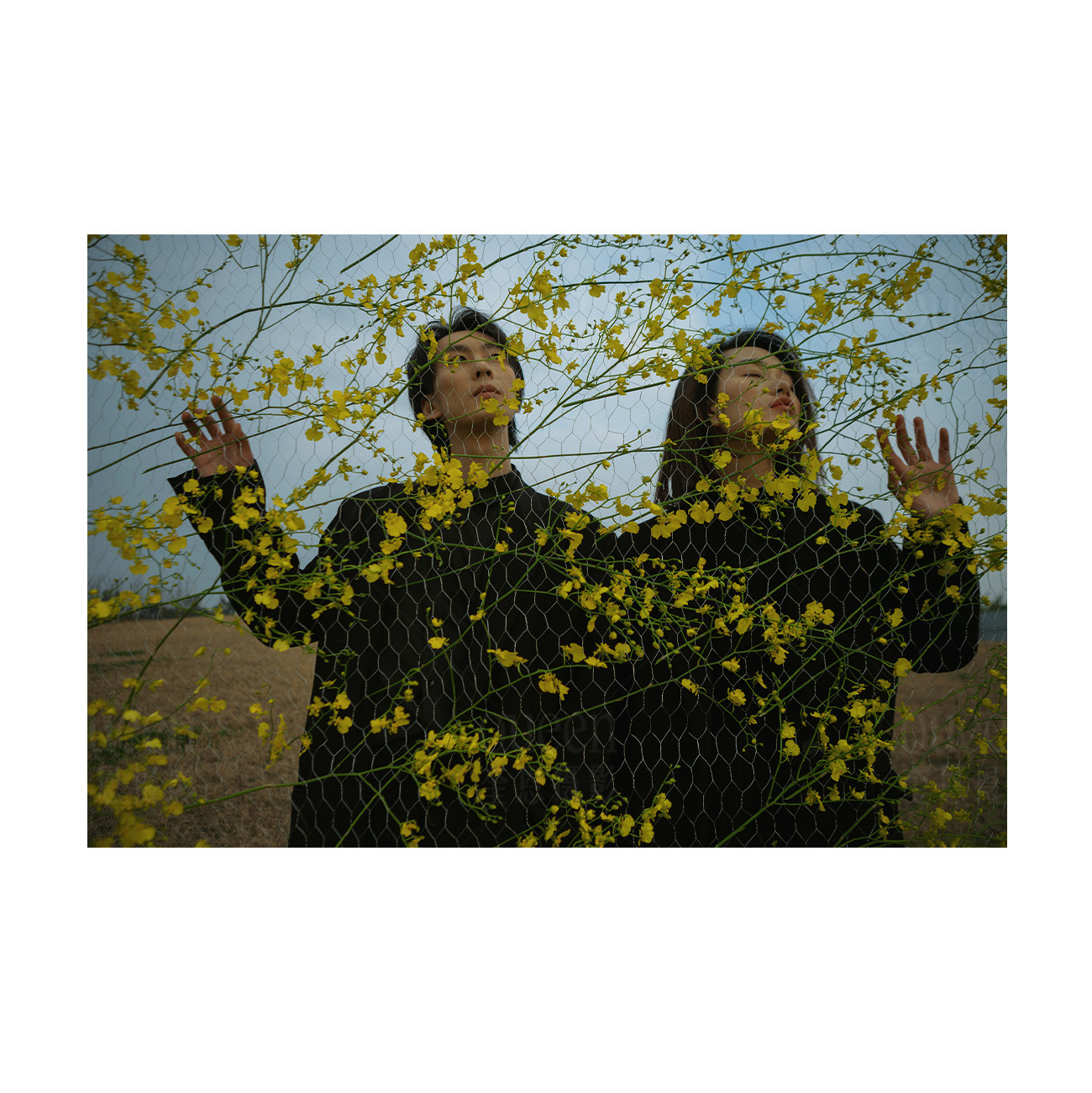 春天的影像诗Ⅰ