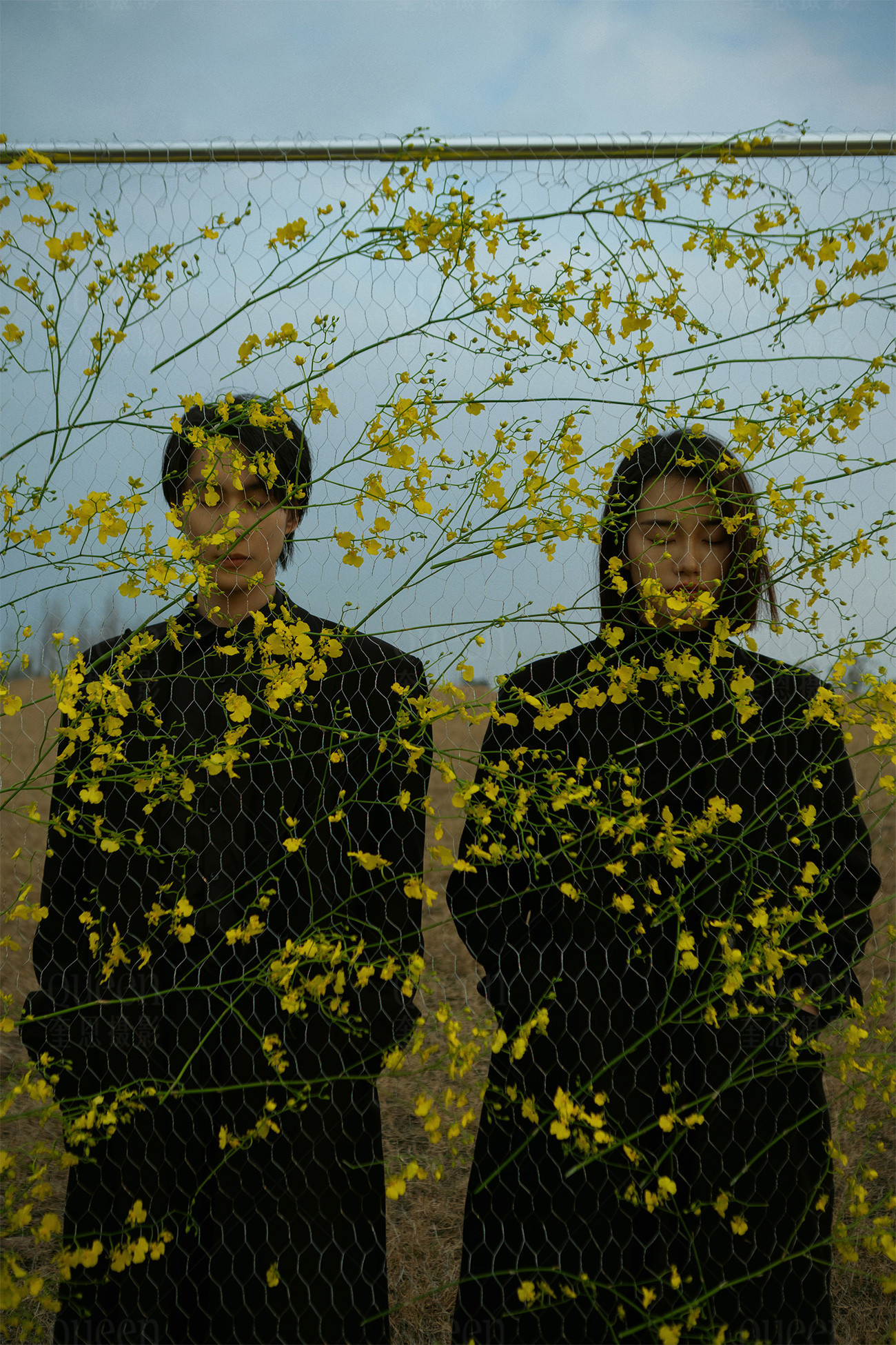 春天的影像诗Ⅰ