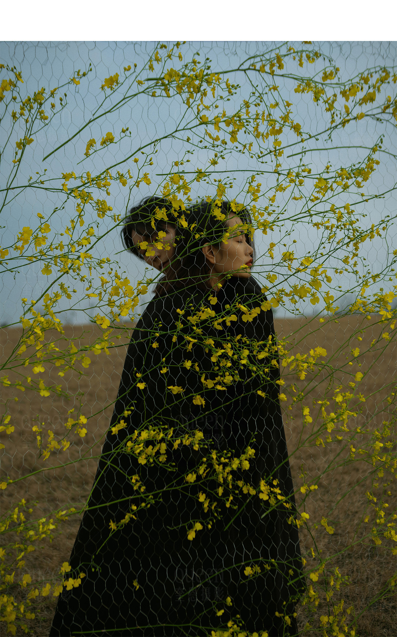 春天的影像诗Ⅰ