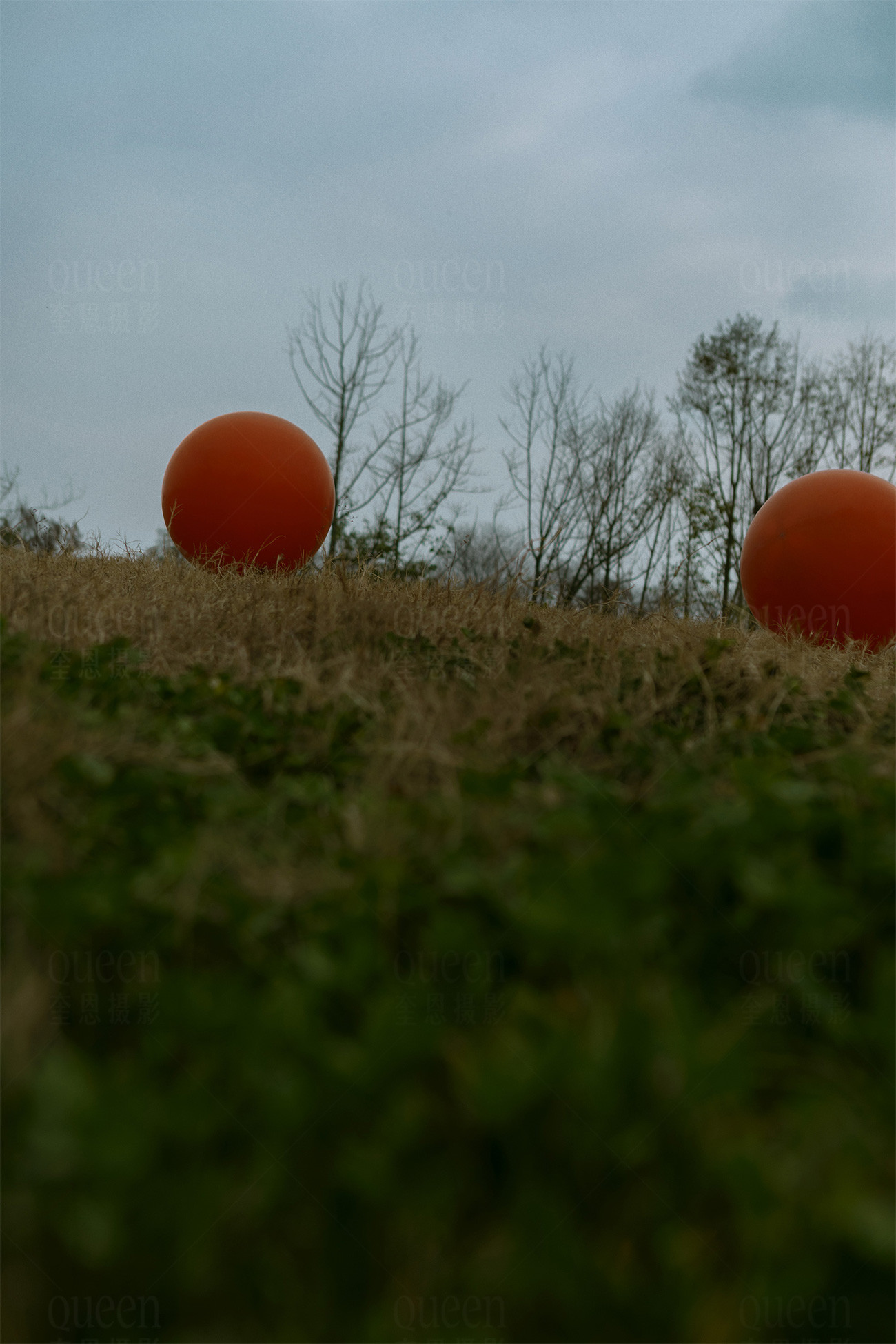 春天的影像诗Ⅱ