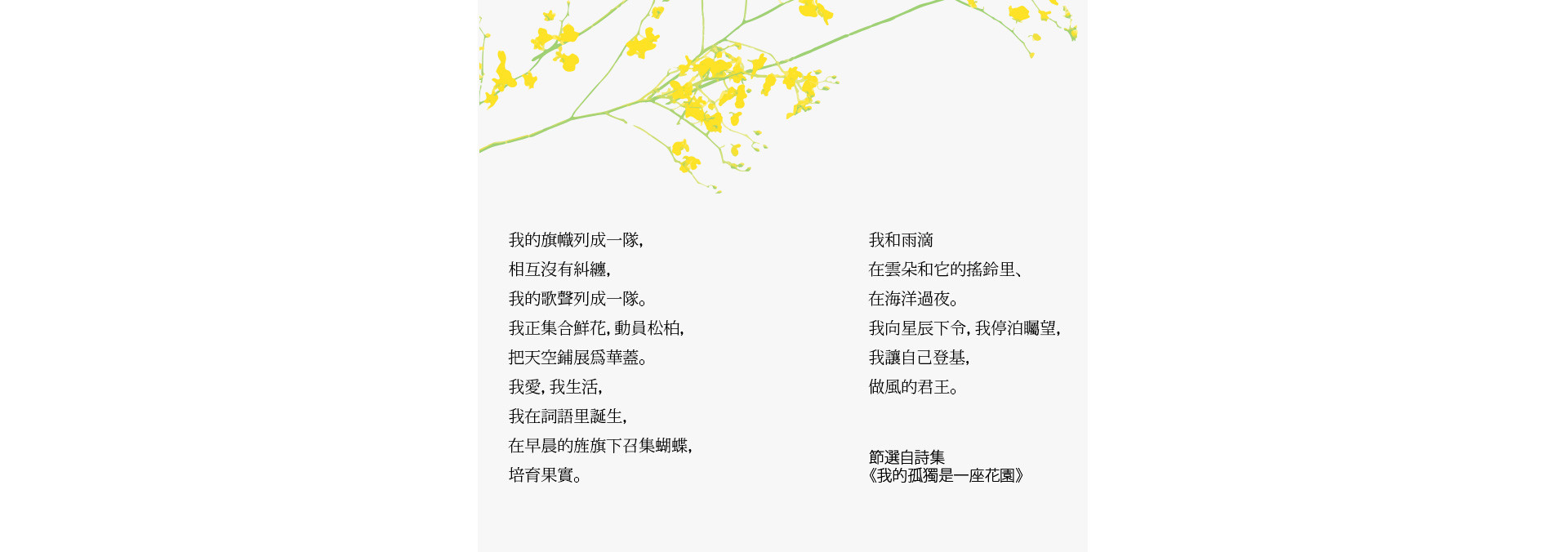 春天的影像诗 | 2023 奎恩摄影 特别企划 新品发布