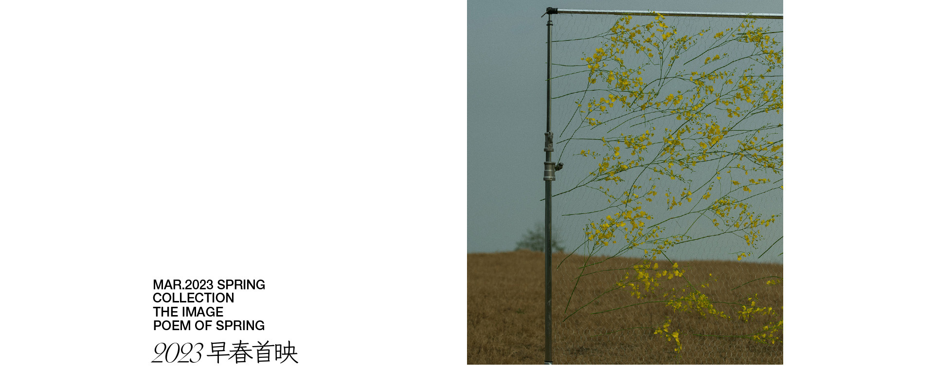 春天的影像诗 | 2023 奎恩摄影 特别企划 新品发布
