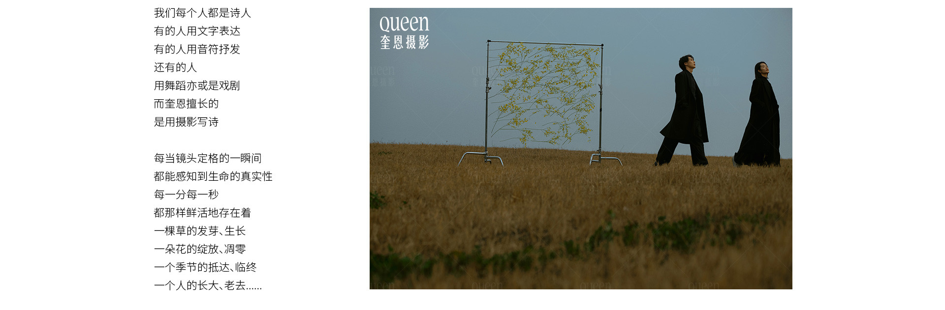 春天的影像诗 | 2023 奎恩摄影 特别企划 新品发布