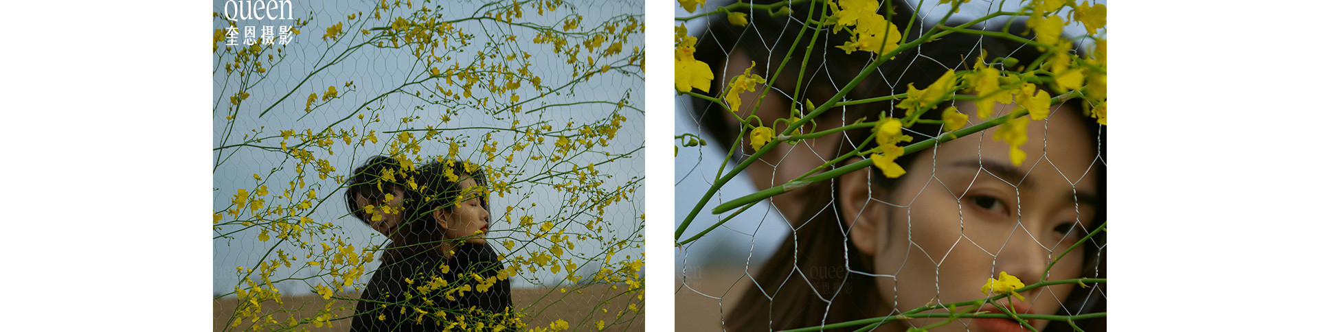 春天的影像诗 | 2023 奎恩摄影 特别企划 新品发布