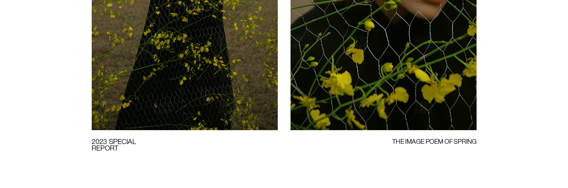 春天的影像诗 | 2023 奎恩摄影 特别企划 新品发布