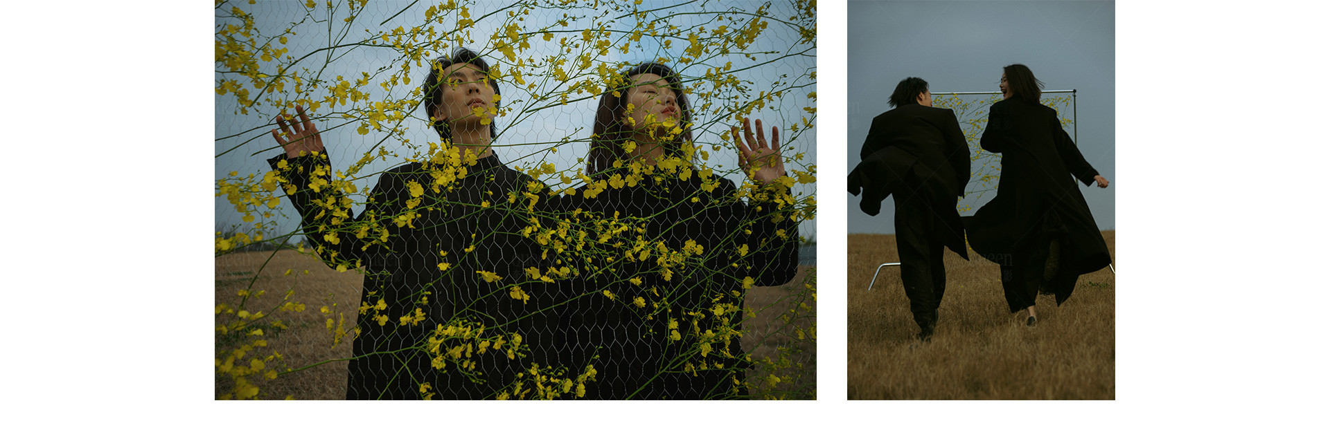 春天的影像诗 | 2023 奎恩摄影 特别企划 新品发布