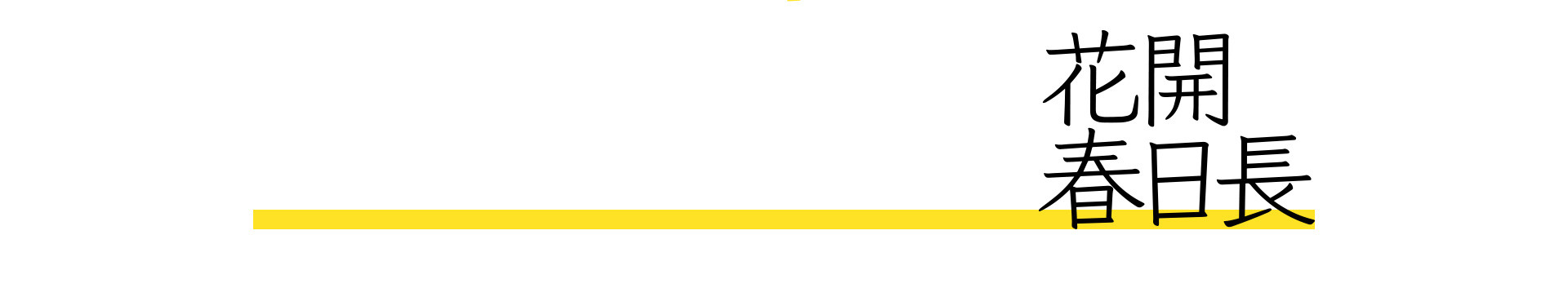 春天的影像诗 | 2023 奎恩摄影 特别企划 新品发布